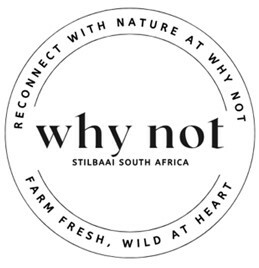 whynotmarket.co.za
